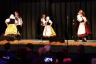 folklorni-festival-krasna-lipa-(007).jpg