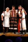 folklorni-festival-krasna-lipa-(063).jpg