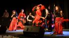 Romsky-tanecni-minifestival-Krasna-Lipa-09.jpg