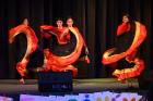 Romsky-tanecni-minifestival-Krasna-Lipa-35.jpg